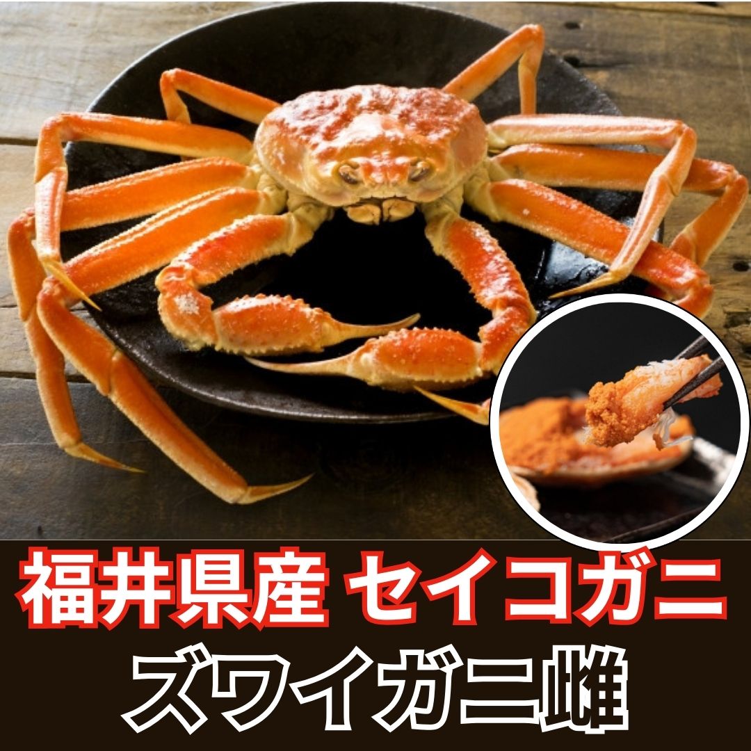 ★福井県若狭湾産 セイコガニ(ズワイガニ雌)　5匹