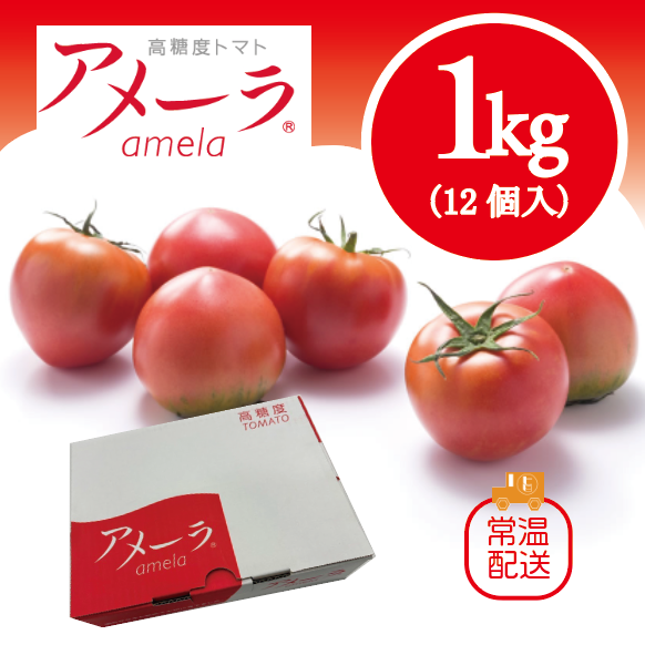 【再販決定!当店大人気商品!アメーラトマト!フルーツトマト　高糖度トマト】　豊洲市場よりサムネイル