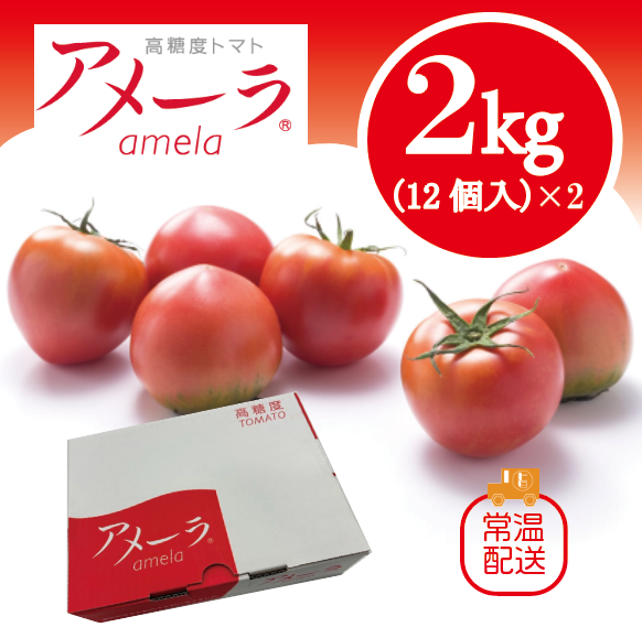 【再販決定!当店大人気商品!アメーラトマト!フルーツトマト　高糖度トマト】　豊洲市場よりサムネイル