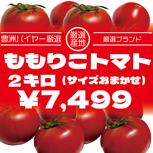 【再販決定!フルーツトマト!ももりこトマト!大人気高糖度トマト】豊洲市場　北の極み　アメーラサムネイル