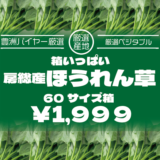【箱いっぱい!房総産　ほうれん草	朝どれほうれん草!】産地直送　産直　房総直売所商品をお手軽に　道のサムネイル