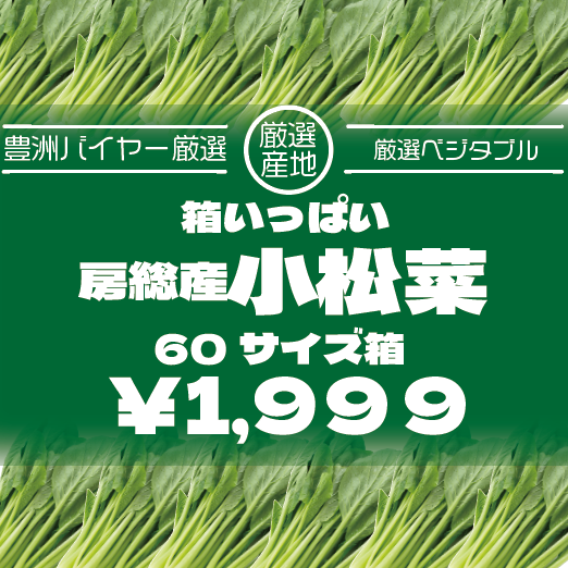 【箱いっぱい!房総産　朝どれ小松菜!】産地直送　産直　房総直売所商品をお手軽に　道の駅サムネイル
