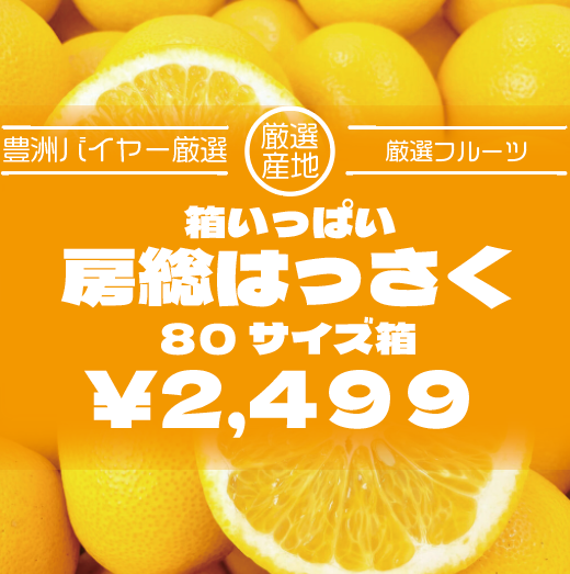 【箱いっぱい!房総産(千葉県産)	八朔(はっさく)】産地直送　産直　房総直売所商品をお手軽に　道の駅サムネイル