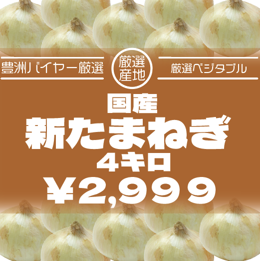 【80サイズ箱いっぱい!国産新玉ねぎ】豊洲市場仕入れ　旬サムネイル