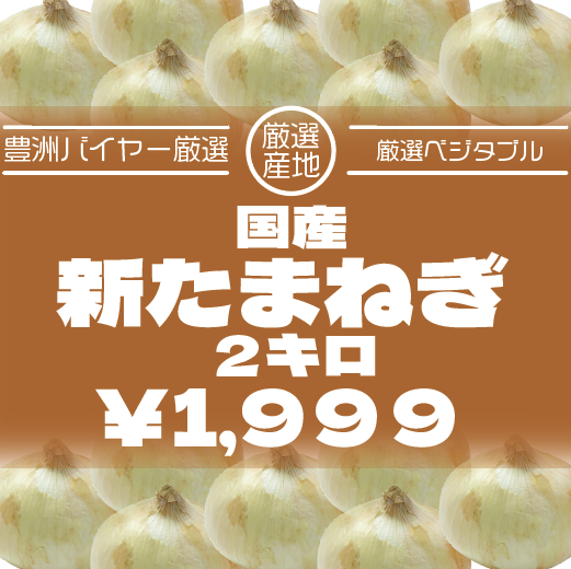【60サイズ箱いっぱい!国産新玉ねぎ】豊洲市場仕入れ　旬サムネイル