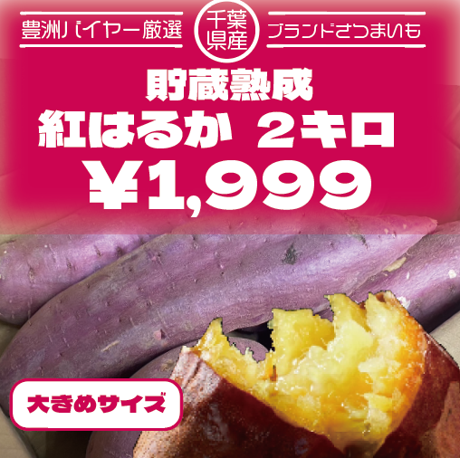 【大きめ!60サイズ箱いっぱい!千葉県産紅はるか　貯蔵熟成】産直　さつまいもサムネイル