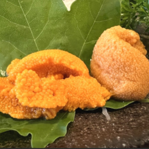 生雲丹　生冷凍(ミョウバン不使用/無添加)　3食150g(50g×3パック)