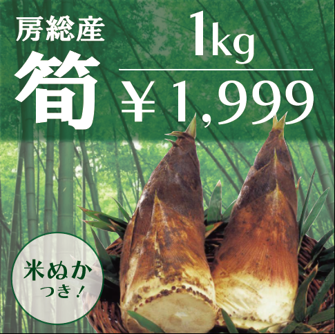 【房総エリア収穫!たけのこ!米ぬか付き　1㎏前後　春の味覚　筍　タケノコ】直売所　道の駅品をお手軽にサムネイル