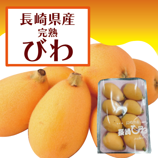 【長崎県産!琵琶!2㍶!独自の流通で仕入れしました!】豊洲市場発　旬　お買い得サムネイル
