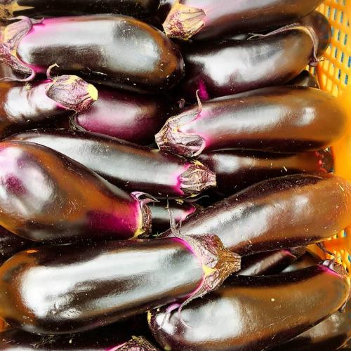 奥久慈ナス 2kg(低農薬栽培)