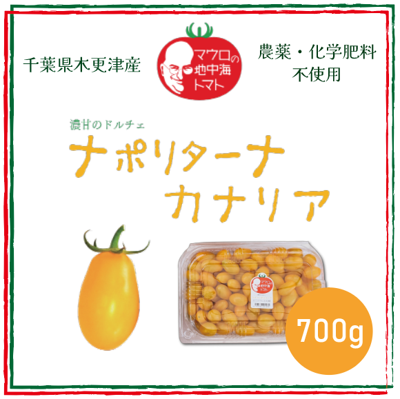 【ナポリターナカナリア!!　とまと　ミニトマト　プチトマト 　カラートマト】　産地直送　700g　千サムネイル