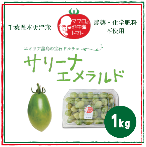 【サリーナエメラルド!!　とまと　ミニトマト　プチトマト 　カラートマト】　産地直送　千葉県木更津産サムネイル