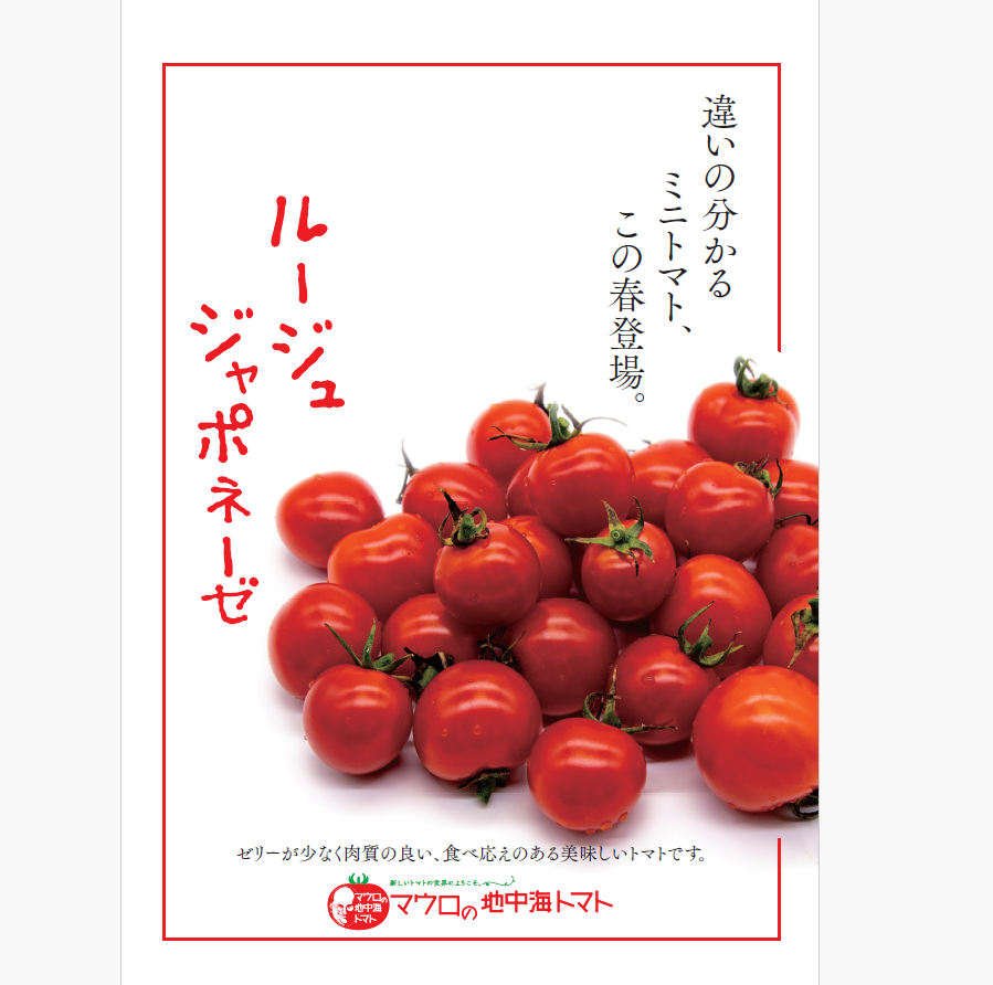 【ルージュ ジャポネーゼ!!　とまと　ミニトマト　プチトマト】　産地直送　千葉県木更津産　700g　サムネイル