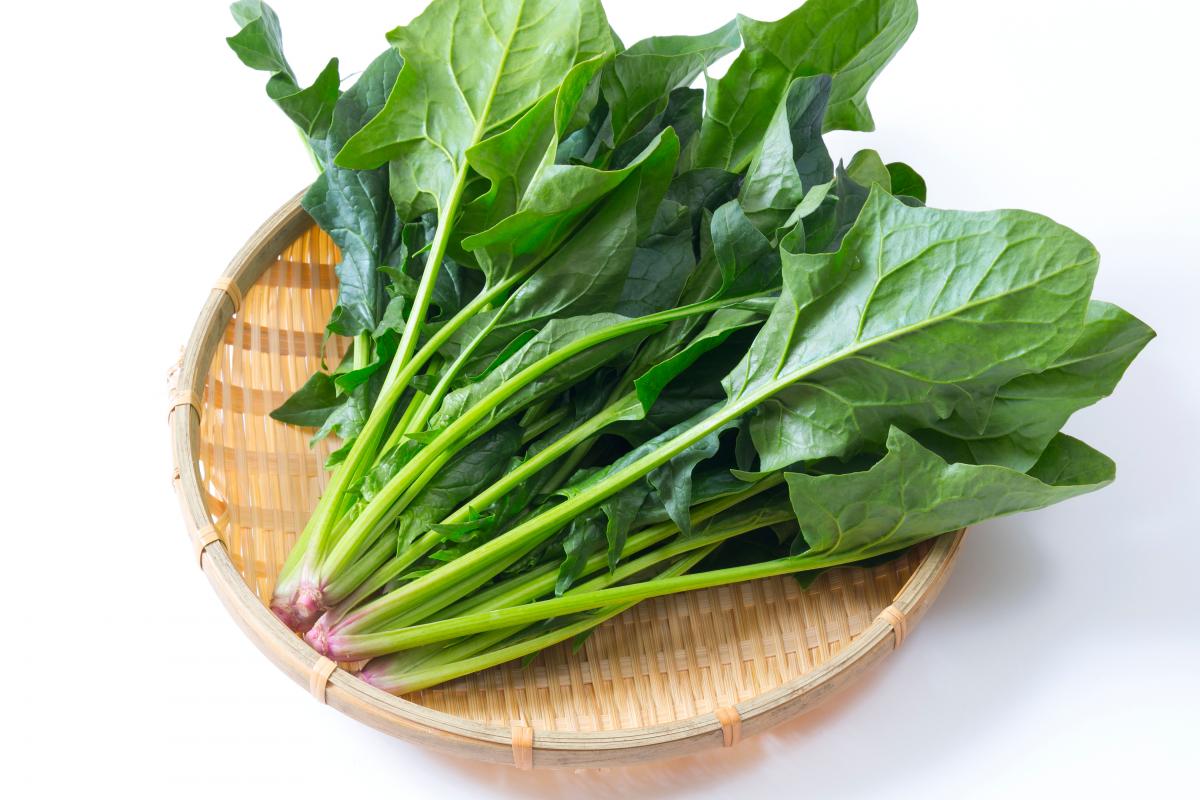 【箱いっぱい!房総産　ほうれん草	朝どれほうれん草!】産地直送　産直　房総直売所商品をお手軽に　道のサムネイル