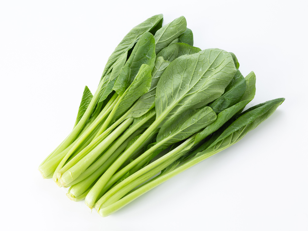 【箱いっぱい!房総産　朝どれ小松菜!】産地直送　産直　房総直売所商品をお手軽に　道の駅サムネイル