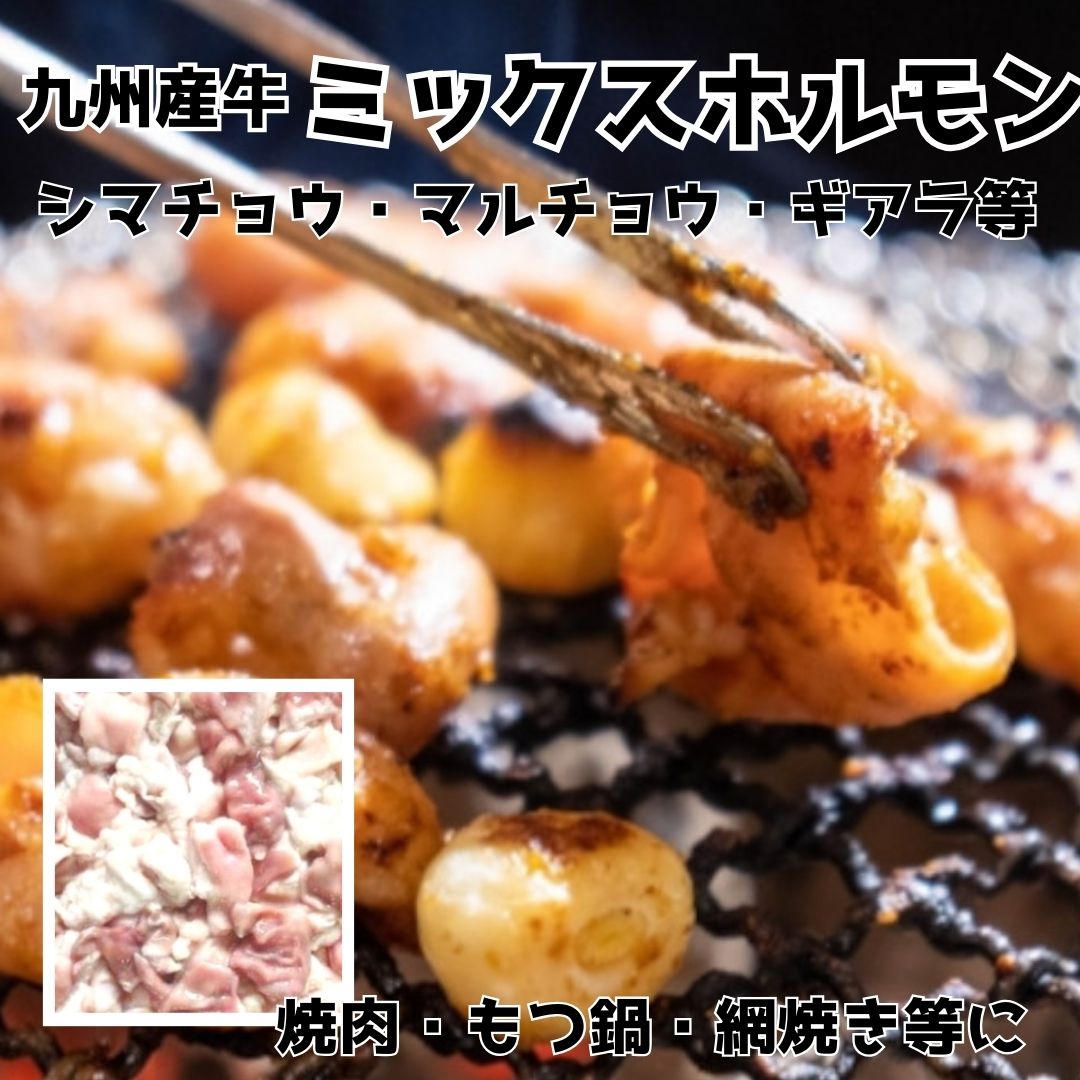 ★九州産　牛ミックスホルモン 2kg(500g×4パック)サムネイル