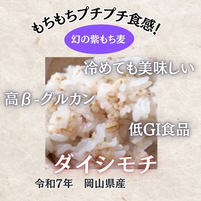 岡山県産　ダイシモチ/幻の紫もち麦　1kg　令和7年産サムネイル