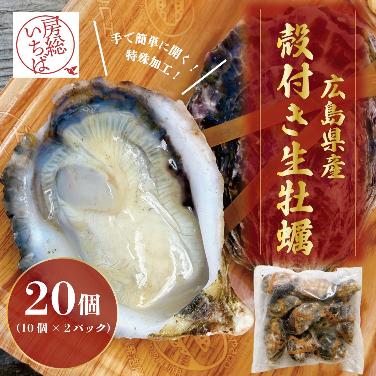 【生牡蠣の革命児!道具不要!自宅で贅沢オイスターバー!20個!】広島県産　殻付き生牡蠣サムネイル