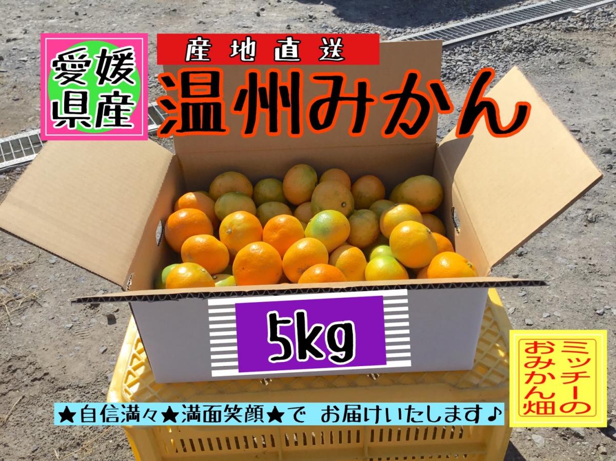 【北海道&沖縄のお客様用】《訳あり》フルーツ果物くだもの果実みかん柑橘《温州みかん/えひめ産》サムネイル