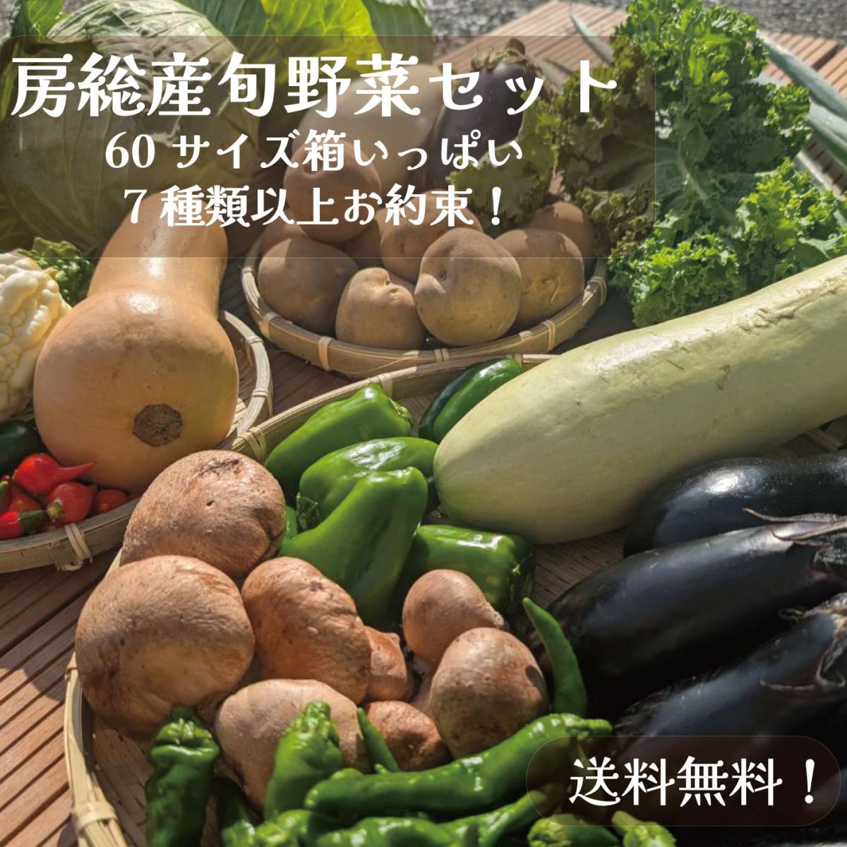 【60サイズ箱いっぱい】新鮮房総野菜詰め合わせセット　産地直送　産直　房総直売所販売野菜をご家庭で。サムネイル