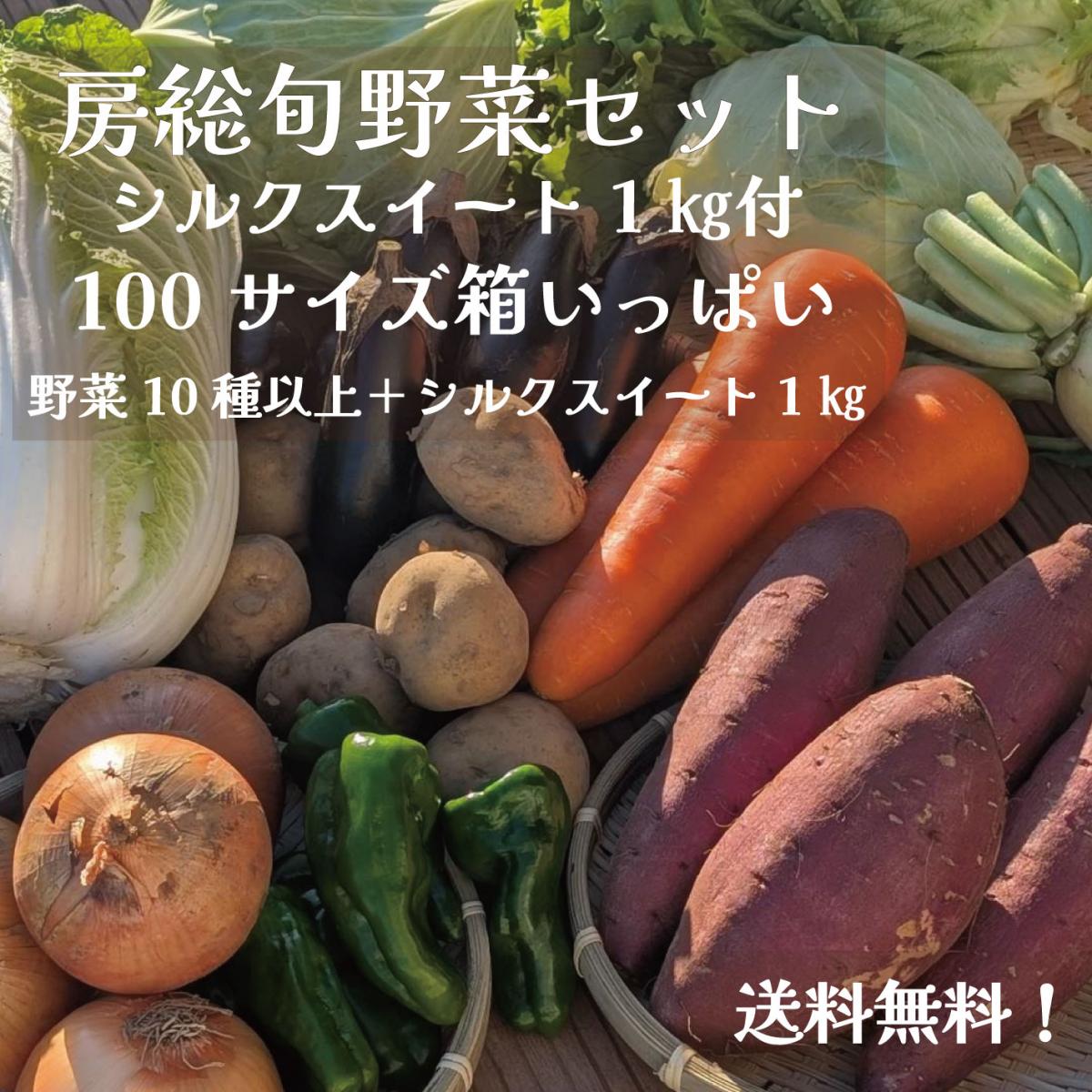 【100サイズ箱にギッシリ!房総産野菜10品+シルクスイート1㎏!秋の得々野菜セット】野菜は当日採れサムネイル