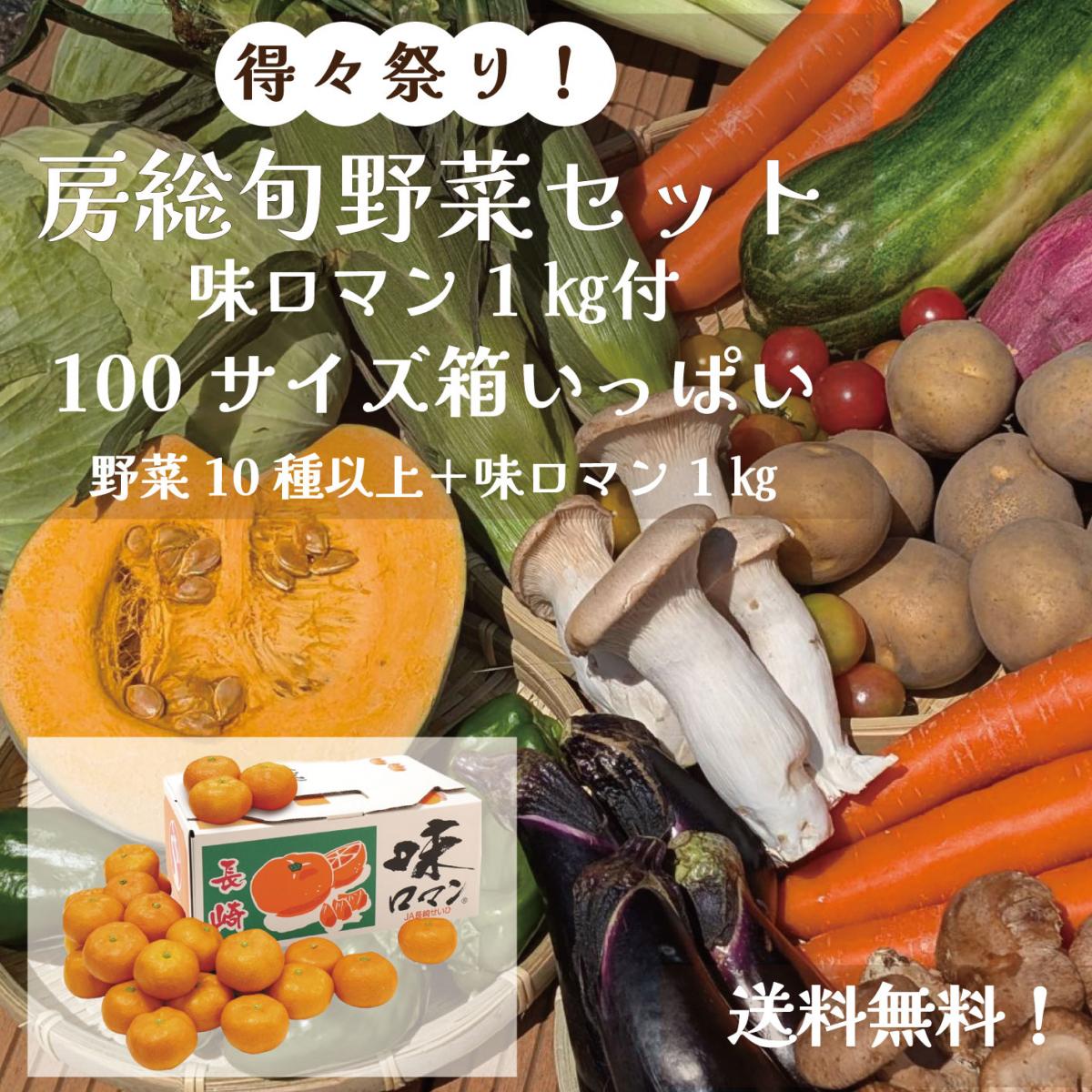 【100サイズ箱にギッシリ!房総産野菜10品+糖度12度ブランドみかん味ロマン1㎏!秋の得々野菜セッサムネイル